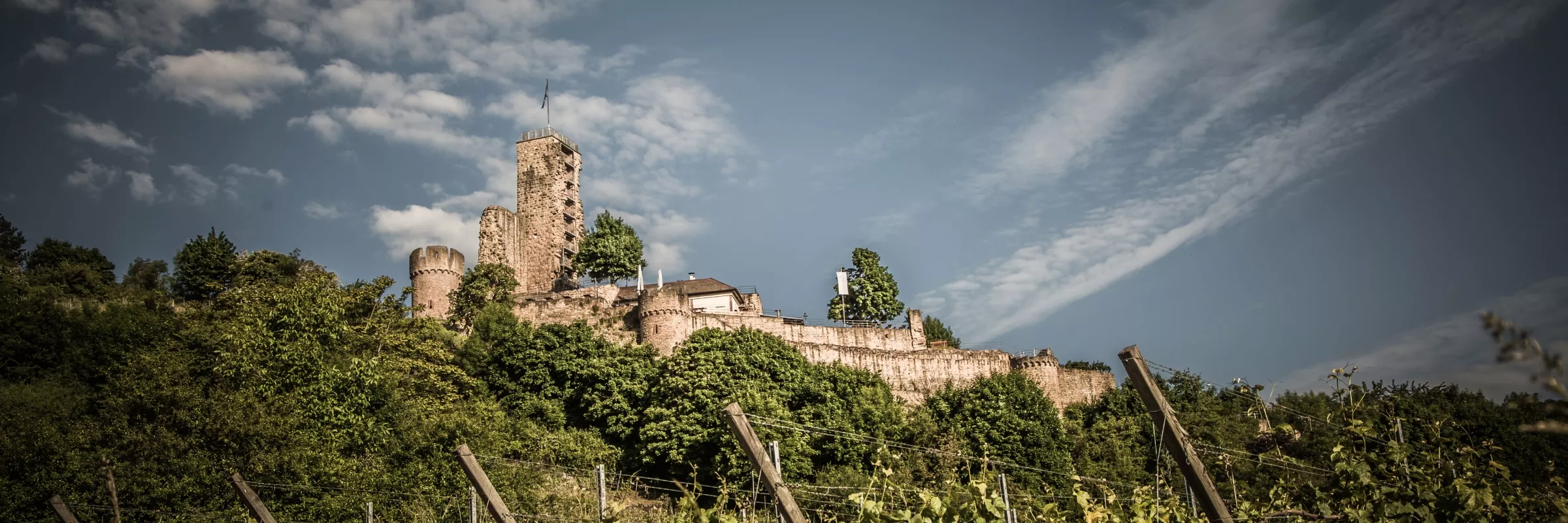 Ein steinernes Schloss mit einem hohen zentralen Turm steht auf einer grünen Hügelkuppe, umgeben von üppigen Bäumen und einer teilweisen Steinmauer unter einem blauen Himmel mit vereinzelten Wolken. Im Vordergrund sind die hölzernen Pfähle eines Weinbergs zu sehen.