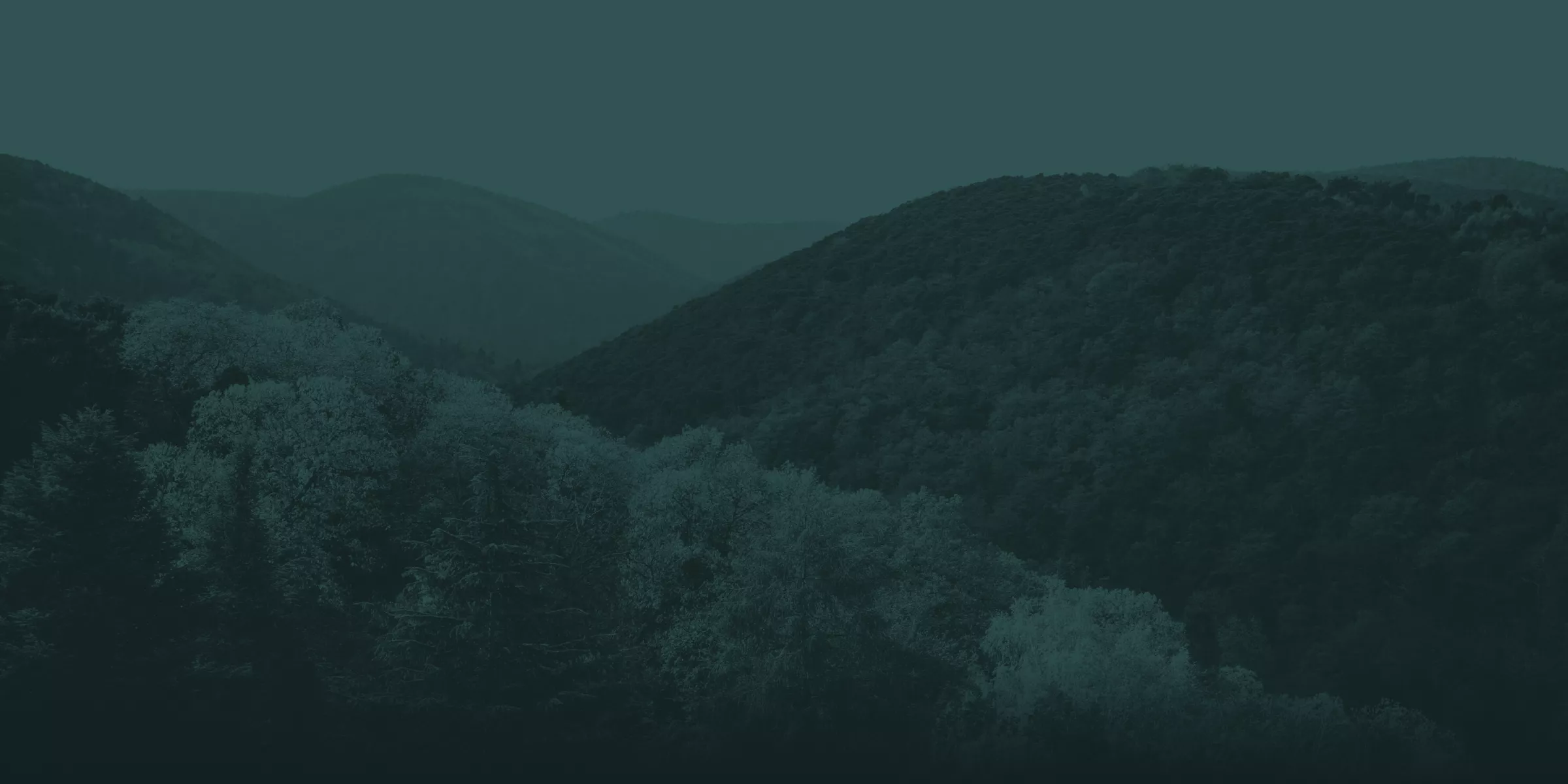 Eine Landschaft mit baumbewachsenen Hügeln und Bergen, mit überlappenden Bergkämmen und dichtem Wald im Vordergrund.