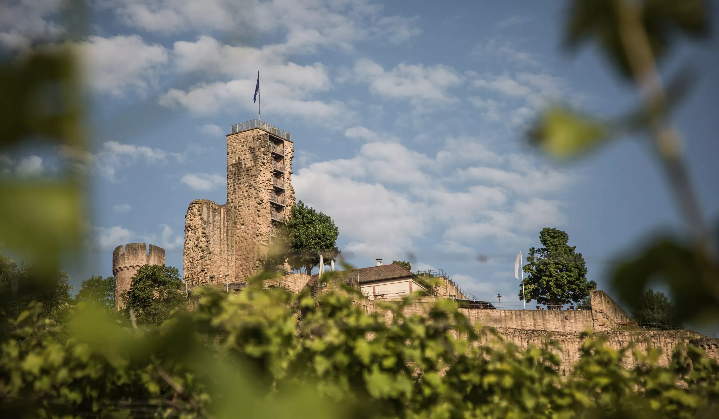 Steinerner Burgturm mit einer Fahne auf der Spitze, umgeben von grünem Laub und Bäumen unter einem teilweise bewölkten blauen Himmel. Die Burgmauern und weitere Gebäude sind teilweise durch das Laub sichtbar.