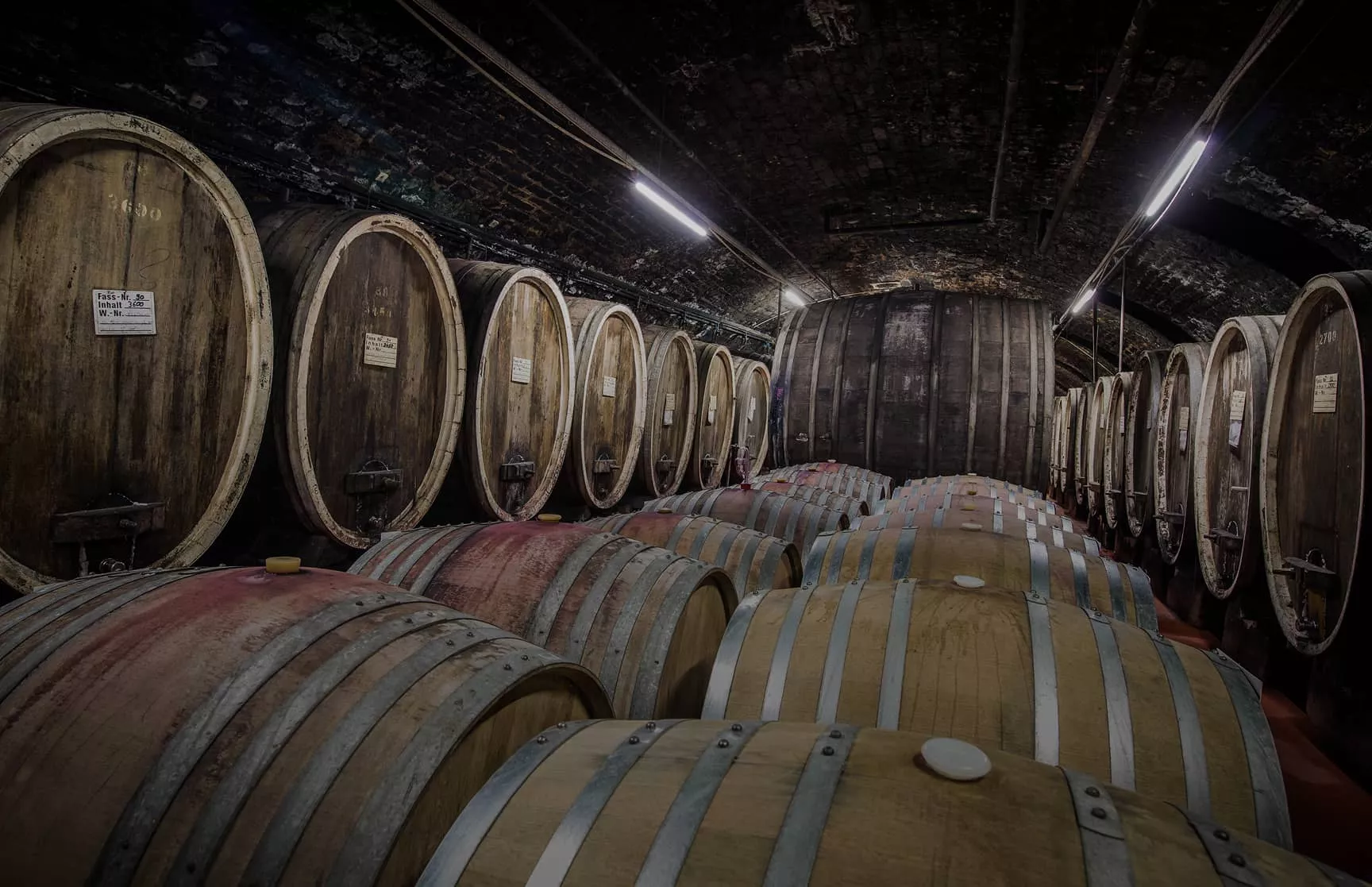 Ein schwach beleuchteter Keller mit Reihen großer Holzfässer, die entlang der Steinwände und des Bodens gestapelt sind und einen rustikalen und stimmungsvollen Lagerraum bilden.