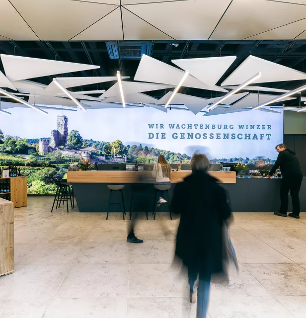 Moderne Weinbar mit geometrischen weißen Deckenpaneelen, großer Wandmalerei eines Weinbergs und eines Schlosses sowie Menschen, die an einem Tresen stehen oder sitzen. Der deutsche Text auf der Wandmalerei lautet "WIR WACHTENBURG WINZER DIE GENOSSENSCHAFT.