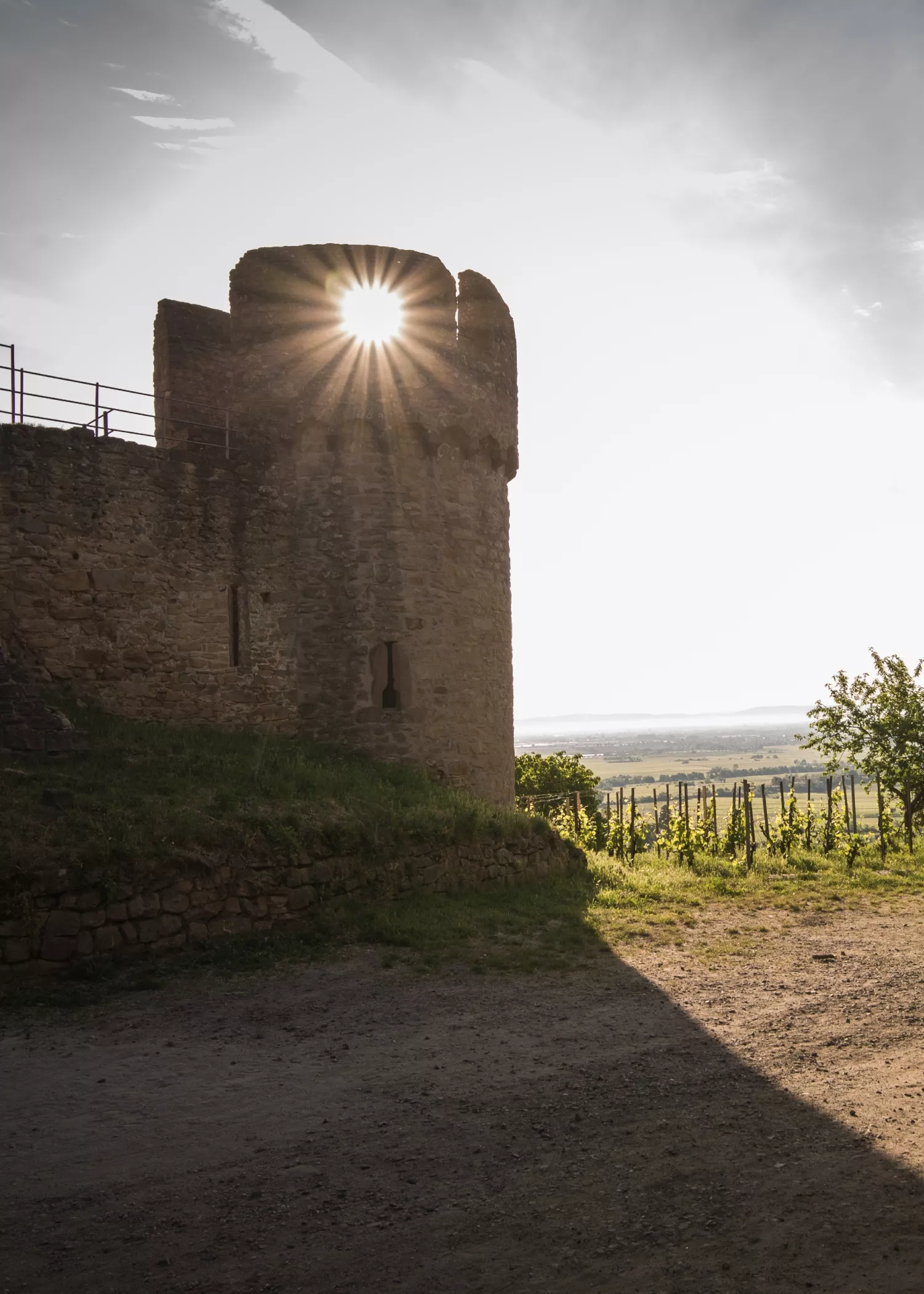 Die Sonne scheint durch ein Fenster in einem runden Steinturm eines alten Schlosses und wirft lange Schatten auf den Boden. Im Hintergrund sind die Landschaft und ein Weinberg unter einem hellen Himmel zu sehen.
